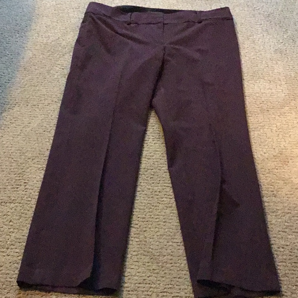 Burgundy dress pants
